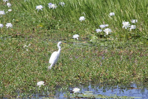 Darwin City Sights And Jumping Crocodile Cruise - Tourism Canberra 4