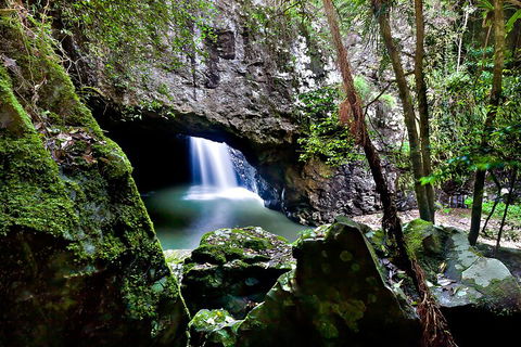 Natural Bridge & Springbrook Waterfalls Tour + Hot Air Balloon With Breakfast - Tourism Canberra 4