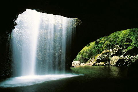 Natural Bridge & Springbrook Waterfalls Tour - Tourism Canberra 0