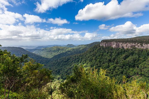 Natural Bridge & Springbrook Waterfalls Tour - Tourism Canberra 1