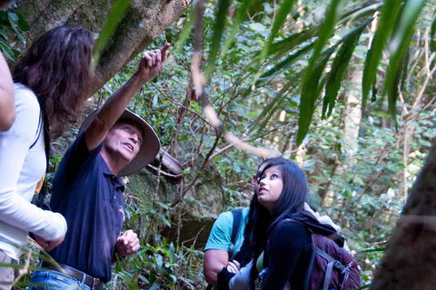 Natural Bridge & Springbrook Waterfalls Tour - Tourism Canberra 4