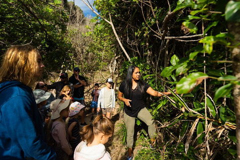 Cape Byron Aboriginal Tour - Tourism Canberra 4