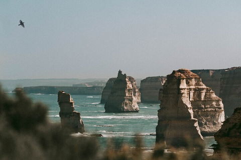 Half-Day Or Full-Day Tour With Private Guide From Melbourne - Tourism Canberra 0