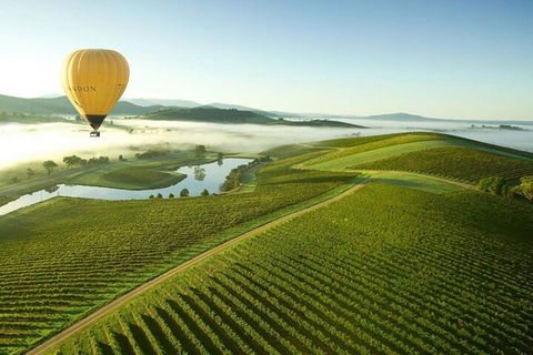 Half-Day Or Full-Day Tour With Private Guide From Melbourne - Tourism Canberra 4