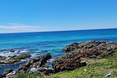 Private Custom Byron Bay Day Out - Tourism Canberra 4