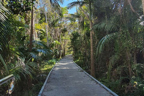 Half Day Guided Small Group Walk - Tourism Canberra 3