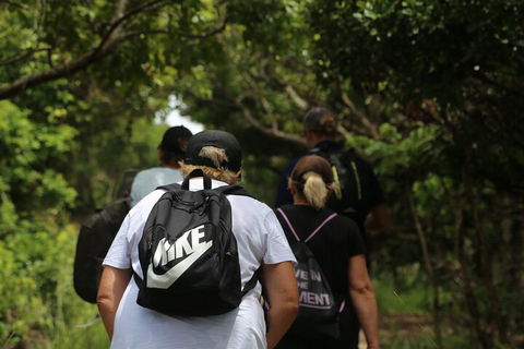 Half Day Guided Small Group Walk - Tourism Canberra 4