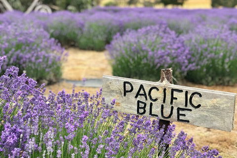 Kangaroo Island Half Day Food And Wine Trail Tour - Tourism Canberra 5