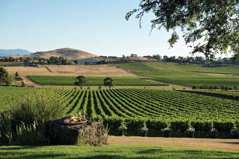 Yarra Valley Premium Tour Inc Lunch And Cheese, Chocolate Fondue At Rochford - Tourism Canberra 1