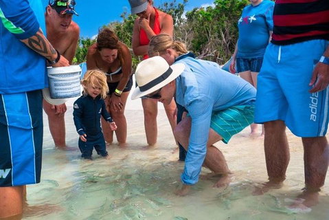 Whitehaven Beach And Hamilton Island Cruise - Tourism Canberra 1