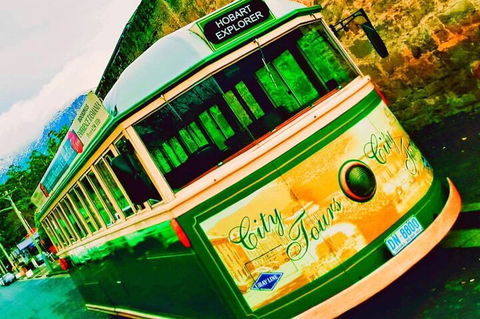 Hobart Half-Day Sightseeing Coach Tram Tour - Tourism Canberra 5