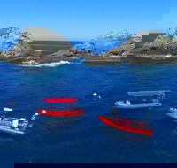3-Hour Byron Bay Certified Scuba Diving Tour - Tourism Canberra