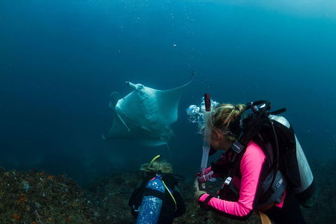 3-Hour Byron Bay Certified Scuba Diving Tour - Tourism Canberra 2