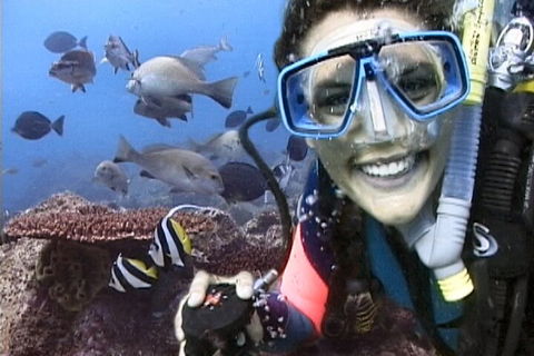 3-Hour Byron Bay Certified Scuba Diving Tour - Tourism Canberra 5