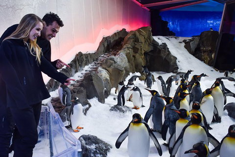 Penguin Passport At SEA LIFE Melbourne Aquarium - Tourism Canberra 0