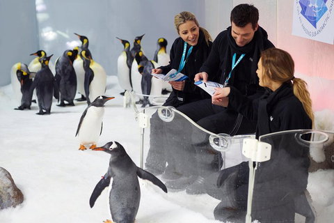 Penguin Passport At SEA LIFE Melbourne Aquarium - Tourism Canberra 5