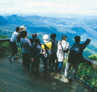 Springbrook National Park  Gold Coast Full Day Luxury Tour from Brisbane - Tourism Canberra