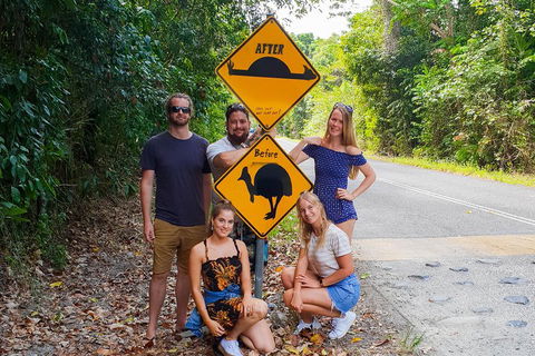 Cape Tribulation, Daintree Rainforest And Wildlife Tour - Tourism Canberra 0