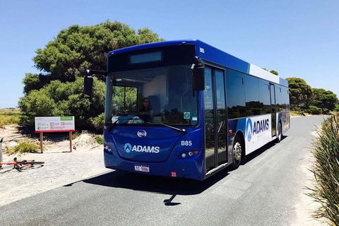 Rottnest Bayseeker Bus Tour From Hillarys Boat Harbour - Tourism Canberra 0