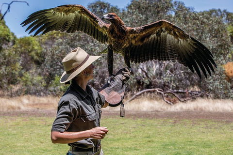 One Day Kangaroo Island Sip & See Tour With Return Ferry Transfers From Adelaide - Tourism Canberra 0