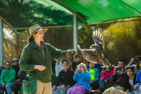 One Day Kangaroo Island Sip & See Tour With Return Ferry Transfers From Adelaide - Tourism Canberra 3