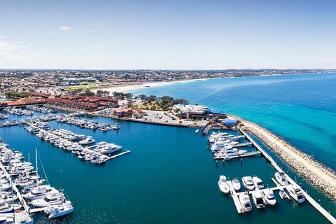 Snorkel With Sharks At AQWA - Tourism Canberra 3