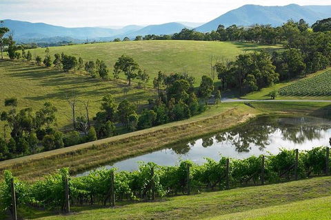 CHEVY CONVERTIBLE Package For 2 People- Wine Lunch Cheese & Chocolate From Melb. - Tourism Canberra 0