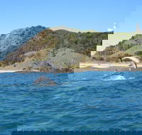 Kayaking with Dolphins in Byron Bay Guided Tour - Tourism Canberra