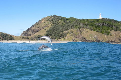 Kayaking With Dolphins In Byron Bay Guided Tour - Tourism Canberra 0