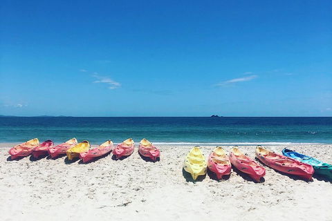 Kayaking With Dolphins In Byron Bay Guided Tour - Tourism Canberra 1