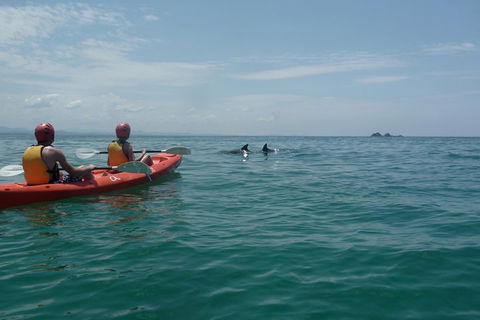 Kayaking With Dolphins In Byron Bay Guided Tour - Tourism Canberra 4