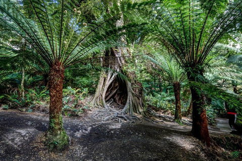 Adelaide To Melbourne 3-Day Trip Through Grampians And Great Ocean Road - Tourism Canberra 0