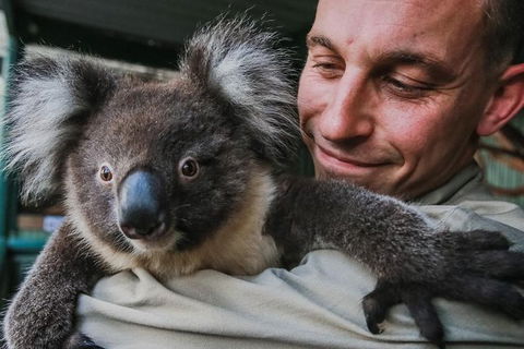 Kangaroos & Koala Encounter Experience (Half Day Private Tour) - Tourism Canberra 0