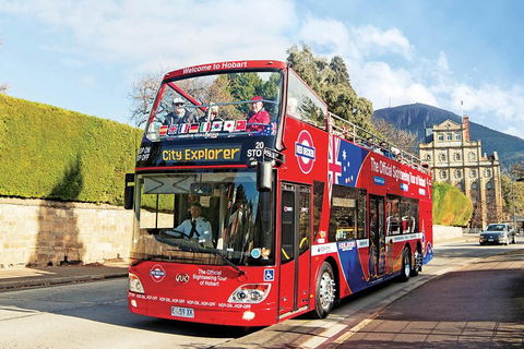 Hobart Hop-On Hop-Off Bus & Kunanyi/Mt Wellington Tour - Tourism Canberra 4