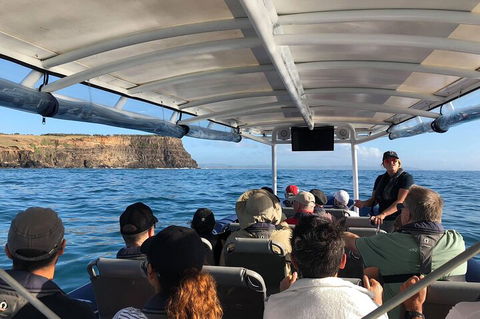 Julian Rocks Byron Bay Cruise - Tourism Canberra 4