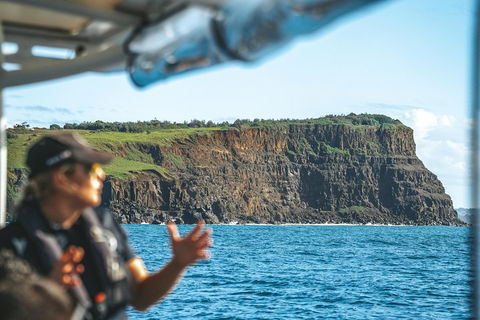 Cruise With Dolphins In Byron Bay - Tourism Canberra 4