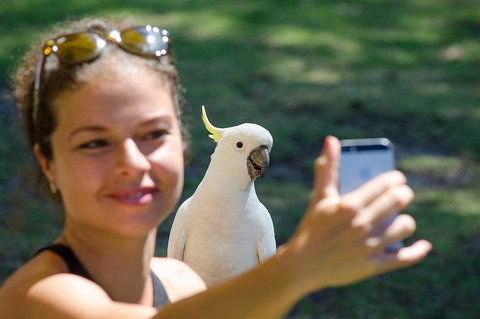 2-Day Melbourne To Adelaide Tour: Great Ocean Road And Grampians One Way Trip - Tourism Canberra 0