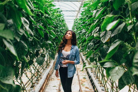 Yarra Valley Local Produce And Wine Tasting Tour - Tourism Canberra 0