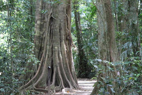 Noosa And Sunshine Coast Hinterland Day Trip From Brisbane - Tourism Canberra 3