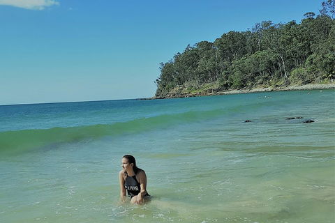 Noosa And Sunshine Coast Hinterland Day Trip From Brisbane - Tourism Canberra 4