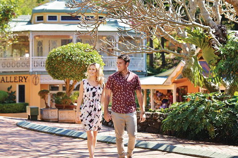 Sunshine Coast Hinterland Rainforest, Views And Montville Day Tour Inc. Lunch - Tourism Canberra 4