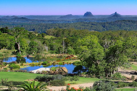 Sunshine Coast Hinterland Rainforest, Views And Montville Day Tour Inc. Lunch - Tourism Canberra 5