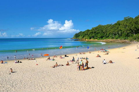 Noosa Everglades Serenity Cruise & Highlights Tour Inc. Lunch & Cruise - Tourism Canberra 4