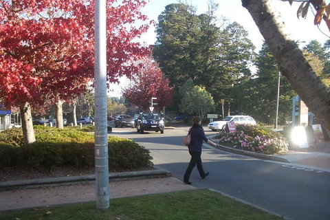 PRIVATE All-Day Blue Mountains Tour With Professional Guide For Up To 4 People - Tourism Canberra 1