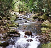 Springbrook Full Day Tour - Tourism Canberra