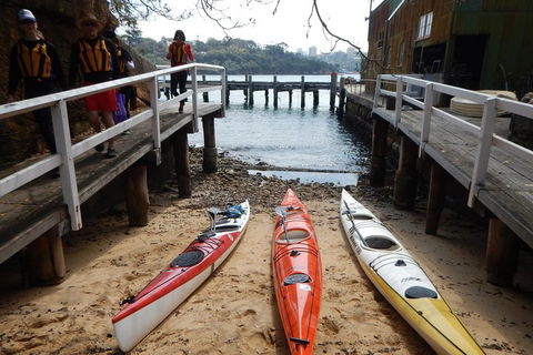 Kayak To Goat Island In Sydney Harbour With Local - Tourism Canberra 3
