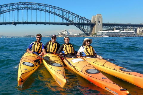 Kayak To Goat Island In Sydney Harbour With Local - Tourism Canberra 5