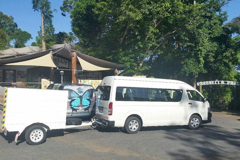 Airport Transfer To Or From Cairns Hotels For Up To 13 People - Tourism Canberra 4