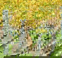 Margaret River Indulge and Discover Day Tour - Tourism Canberra