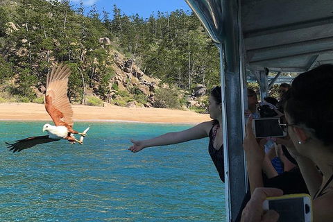 Aquascene Magnetic Island Discovery Tour - Tourism Canberra 2